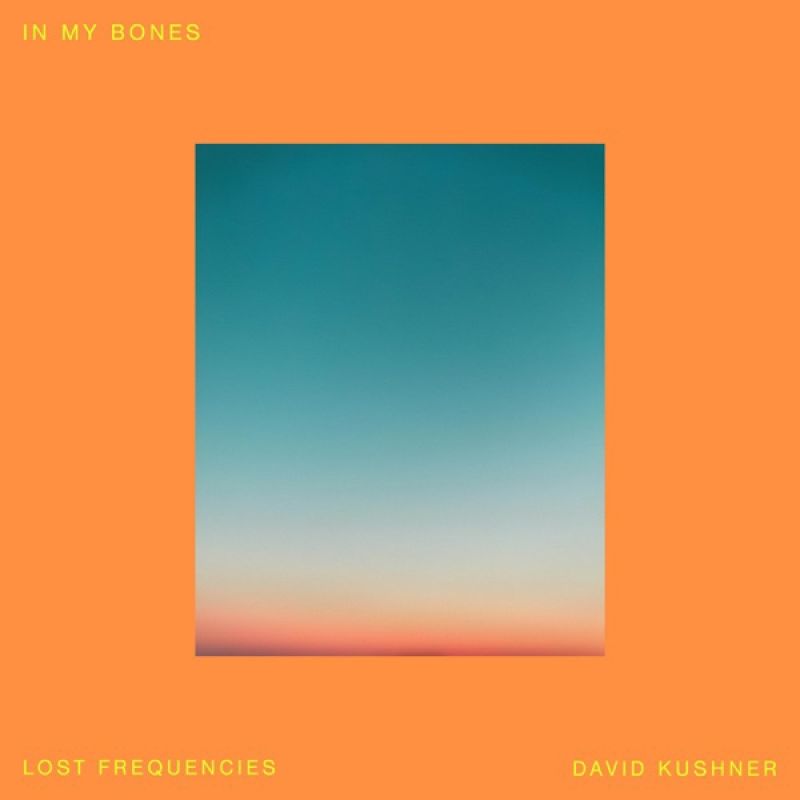 Lost Frequencies & David Kushner - In My Bones (Extended Mix)