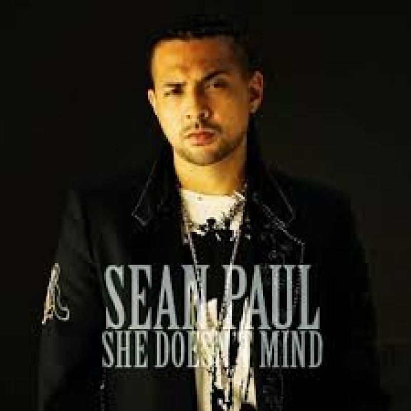 Sean Paul - She Doesnt Mind (dewerro Remix)