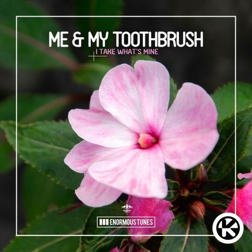 Me & My Toothbrush - I Take What s Mine (Extended Mix)