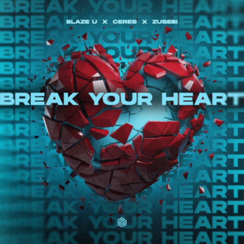 Break Your Heart - Techno Remix