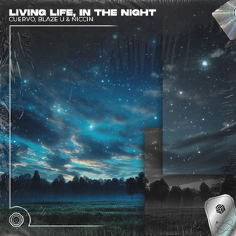 Living Life, In The Night - Techno Remix