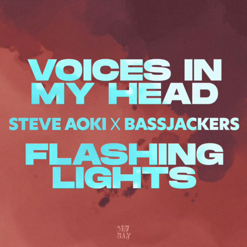Steve Aoki x Bassjackers - Voices In My Head (feat. Teddy Bee)