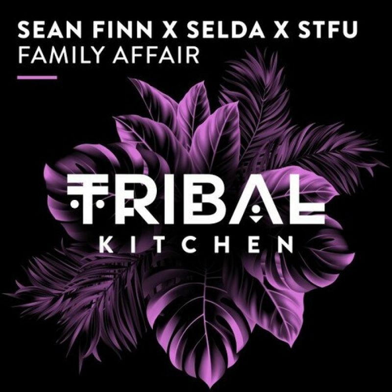 Sean Finn, STFU, Selda - Family Affair (Extended Mix)