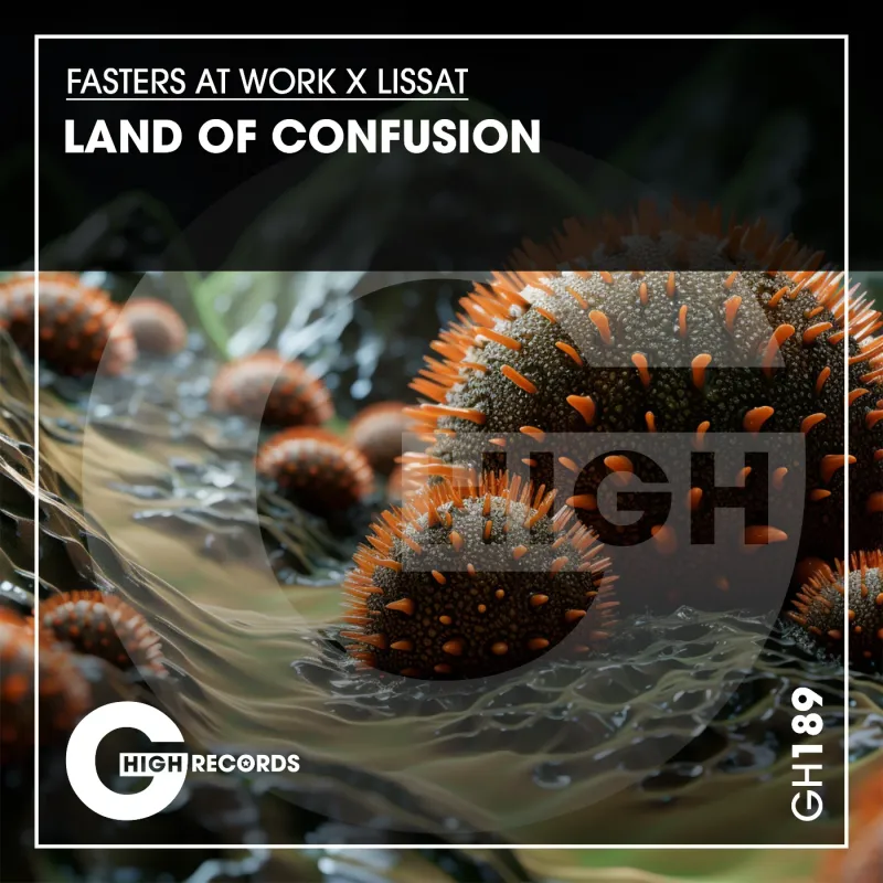 Fasters At Work, Lissat - Land of Confusion (Original Mix)