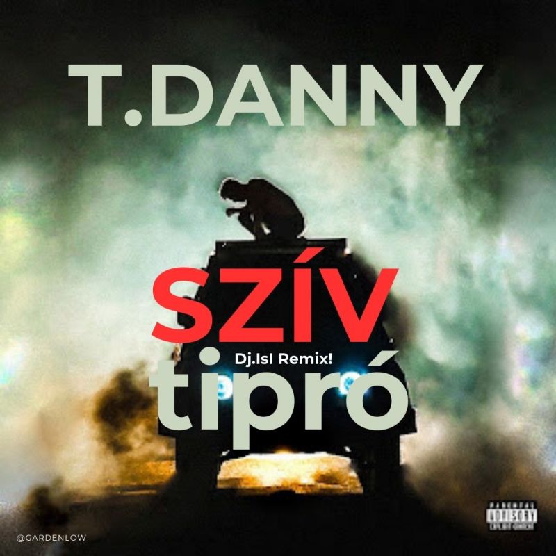T. Danny - SZÍVTIPRÓ ( Dj.IsI Remix )