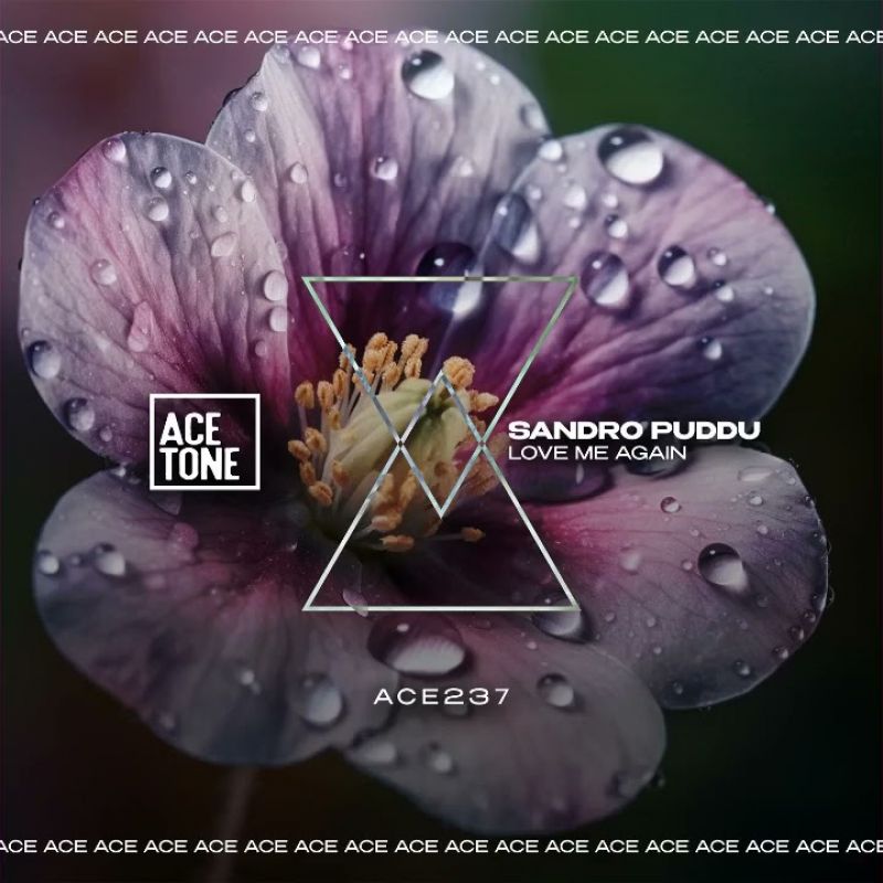 Sandru Puddu - Love Me Again (Original Mix)