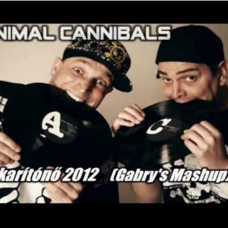 Animal Cannibals - Takarítónő 2012 (Gabrys mashup)