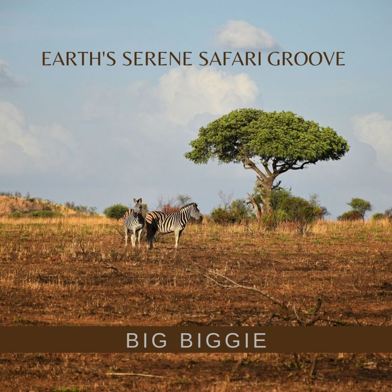 Big Biggie - Earths Serene Safari Groove (Original Mix) [PRDS Direct]