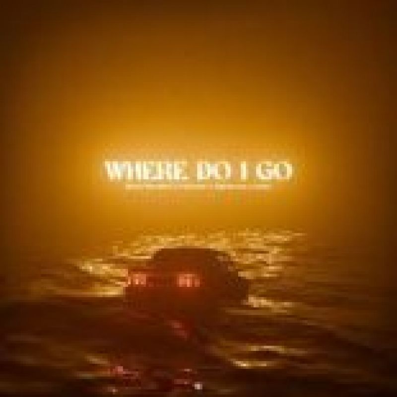 Nicky Romero x Vikkstar x Alpharock x Oaks - Where Do I Go (Extended Mix)